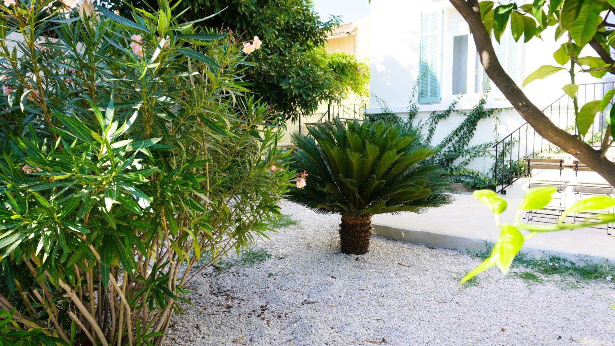 Appartement Avec Terrasse,T2, Proche Plage Du Midi - Palmazur Vacances